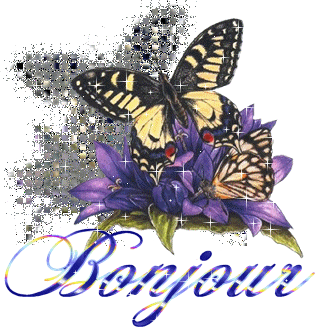 bonjour à tous !